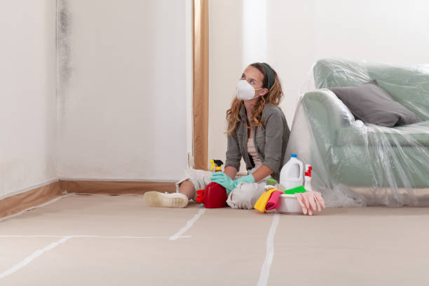 Reliable Black Mold Removal contractor in Lyndhurst, NJ by WQB Mold Removal